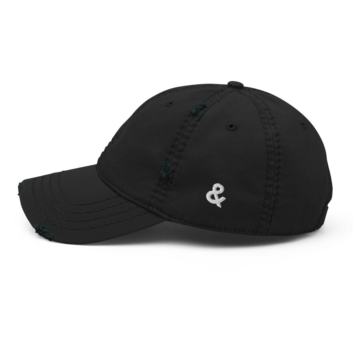 Embroidered "Ampersand" Distressed Cap